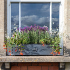 Traditional Galvanised Steel Window Boxes - Tom's Yard