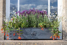 Traditional Galvanised Steel Window Boxes - Tom's Yard