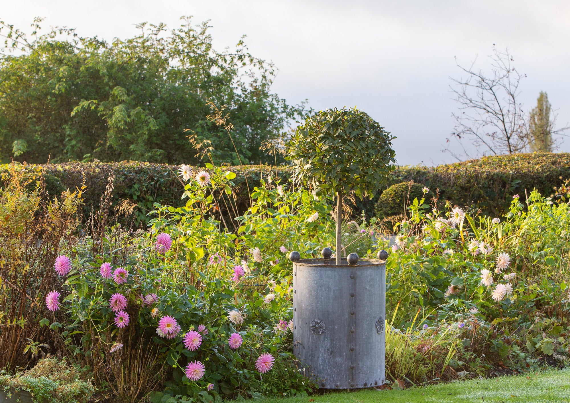 Large Traditional Galvanised Steel Round Planter - Tom's Yard