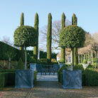 'Mayfair' Galvanised Cube Planters - Tom's Yard