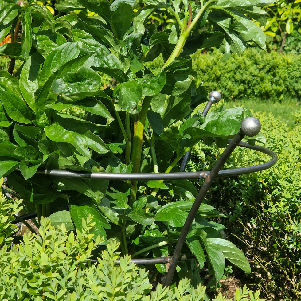 Haws watering cans tom s yard