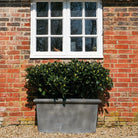 'Classic' Galvanised Trough Planter - Tom's Yard
