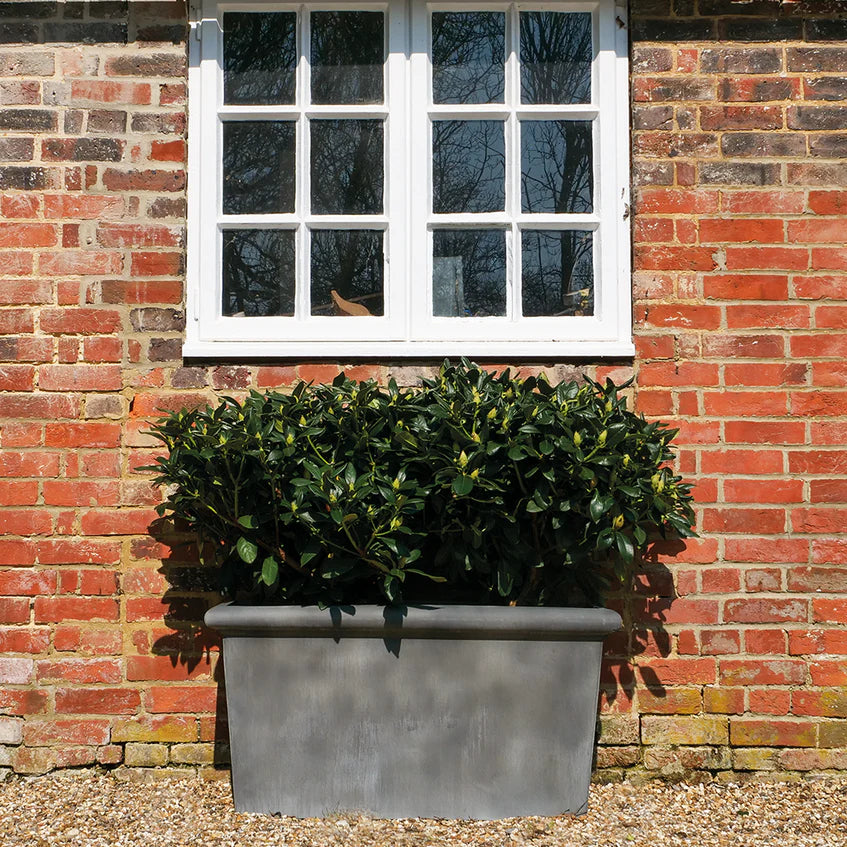'Classic' Galvanised Trough Planter - Tom's Yard