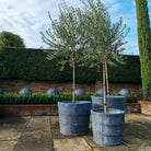 'Porto' Galvanised Round Planters - Tom's Yard