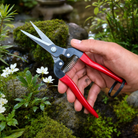 Quality Japanese Garden Snips - Tom's Yard