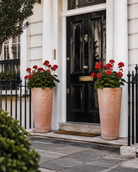 Romano Italian Terracotta Planters - Tom's Yard