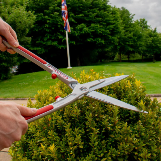 ARS Professional Garden Shears Tom's Yard