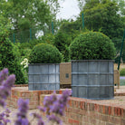 'Sienna' Galvanised Round Planters - Tom's Yard