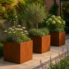 Corten Steel Metal Cube Planter - Tom's Yard