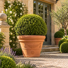 Florenza Swagged Italian Terracotta Planters - Tom's Yard