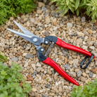 Quality Japanese Garden Snips - Tom's Yard