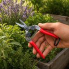 Quality Japanese Harvest Snips - Tom's Yard