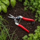 Quality Japanese Harvest Snips - Tom's Yard