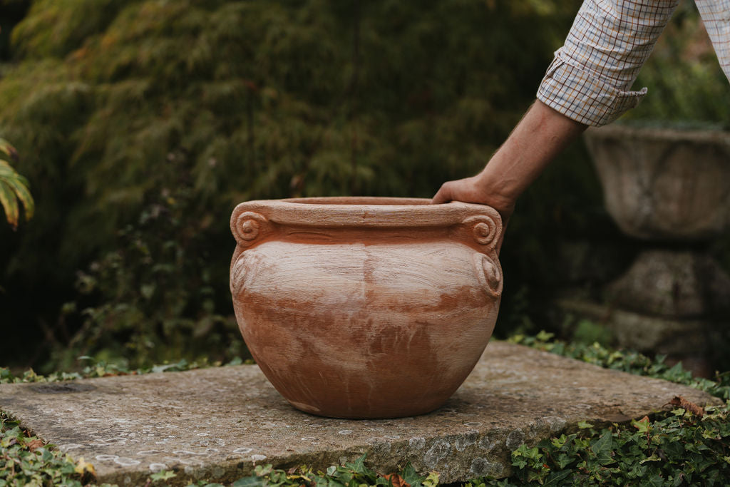 Italian Terracotta Scroll Pot 35cm - Tom's Yard