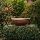 Italian Terracotta Bowl Planters - Tom's Yard