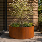 Corten Steel Floating Round Planters - 100cm Wide - Tom's Yard