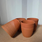 Tom's Yard Terracotta Auricula Pot - Tom's Yard