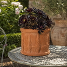 18cm Classic Italian Cypress Tree Terracotta Pot - Tom's Yard