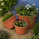 Tom's Yard Classic Terracotta Half Pots - Tom's Yard