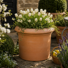 Raphael Italian Terracotta Planters - Tom's Yard
