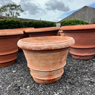 SALE Item 25 - Tom's Yard