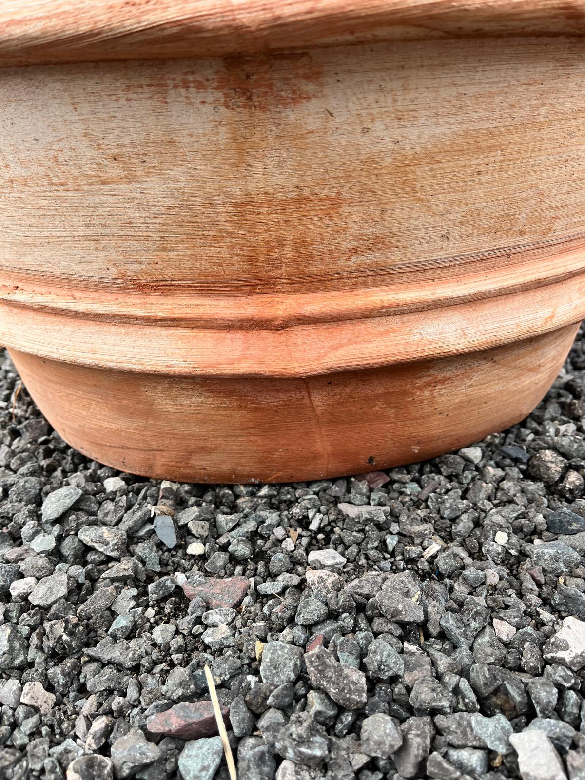 SALE Item 25 - Tom's Yard