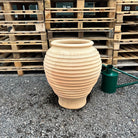 SALE Item 35 - Tom's Yard
