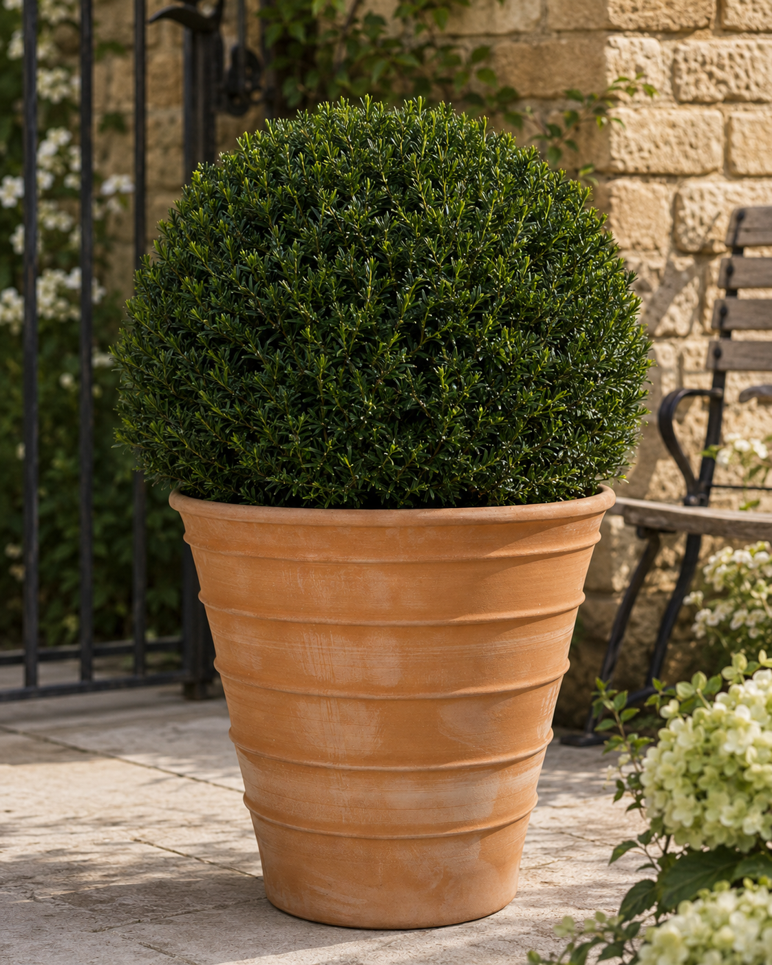 XL Tapered Cretan Terracotta Planter - Tom's Yard