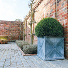 'Mayfair' Galvanised Cube Planters - Tom's Yard