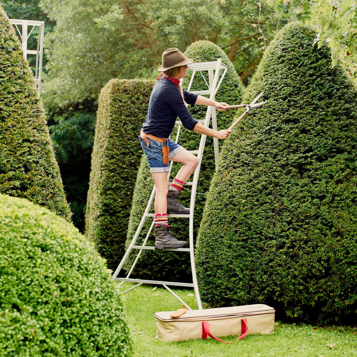 Niwaki EN Pro Adjustable Tripod Ladders – Tom's Yard