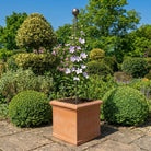 55cm Italian Cube 5ft Steel Pyramid Bundle - Tom's Yard