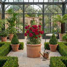 75cm Italian Planter XL 95cm Dome Support Bundle - Tom's Yard