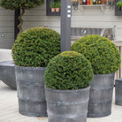 'Porto' Galvanised Round Planters - Tom's Yard