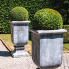 'Roma' Galvanised Vase Planters - Tom's Yard