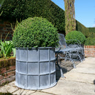 'Sienna' Galvanised Round Planters - Tom's Yard