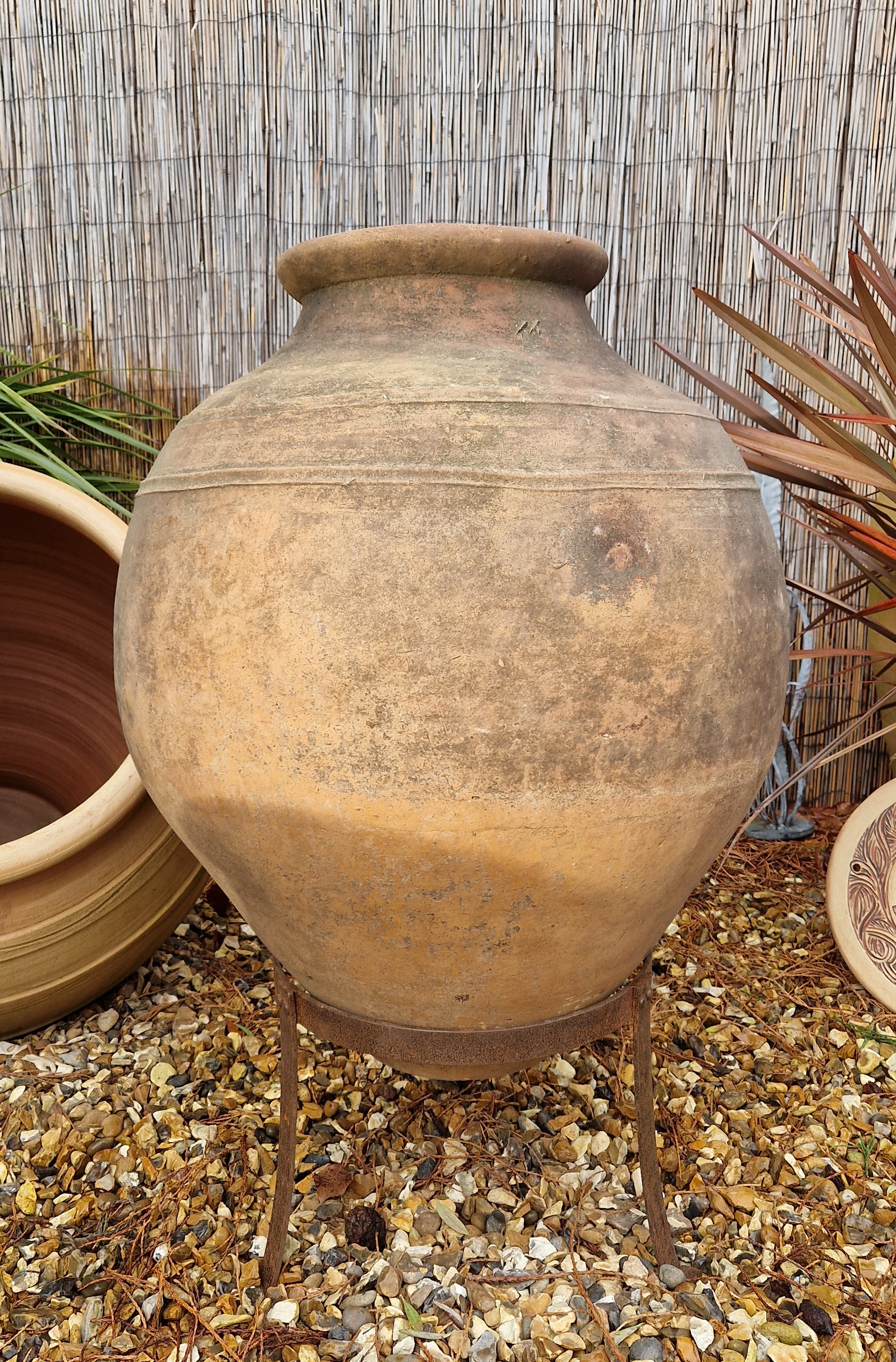 Antique Grecian Pot 4 - Tom's Yard