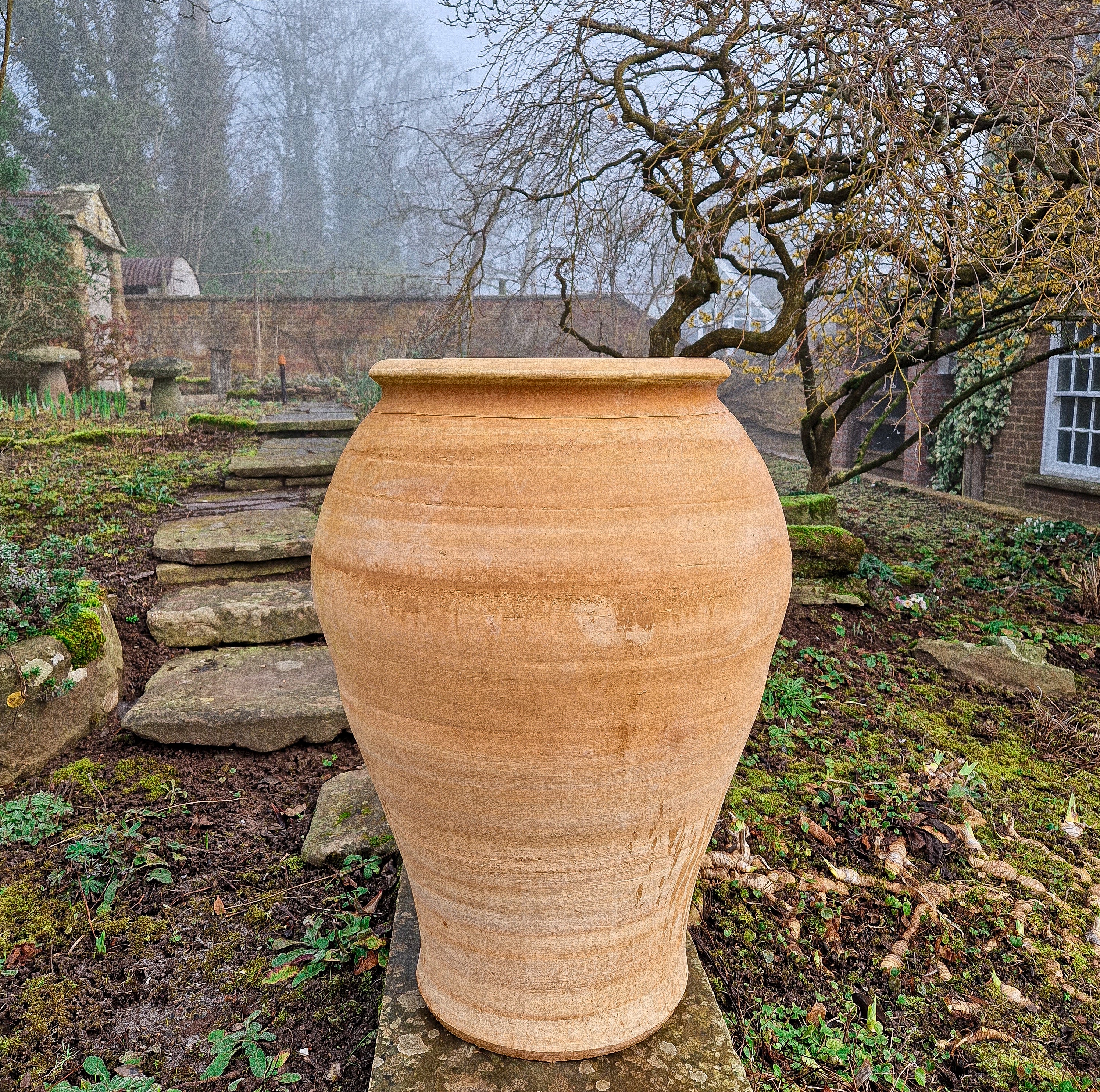 James Cretan Terracotta Pot - Tom's Yard