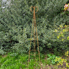 XL Steel Obelisk Plant Support - Tom's Yard