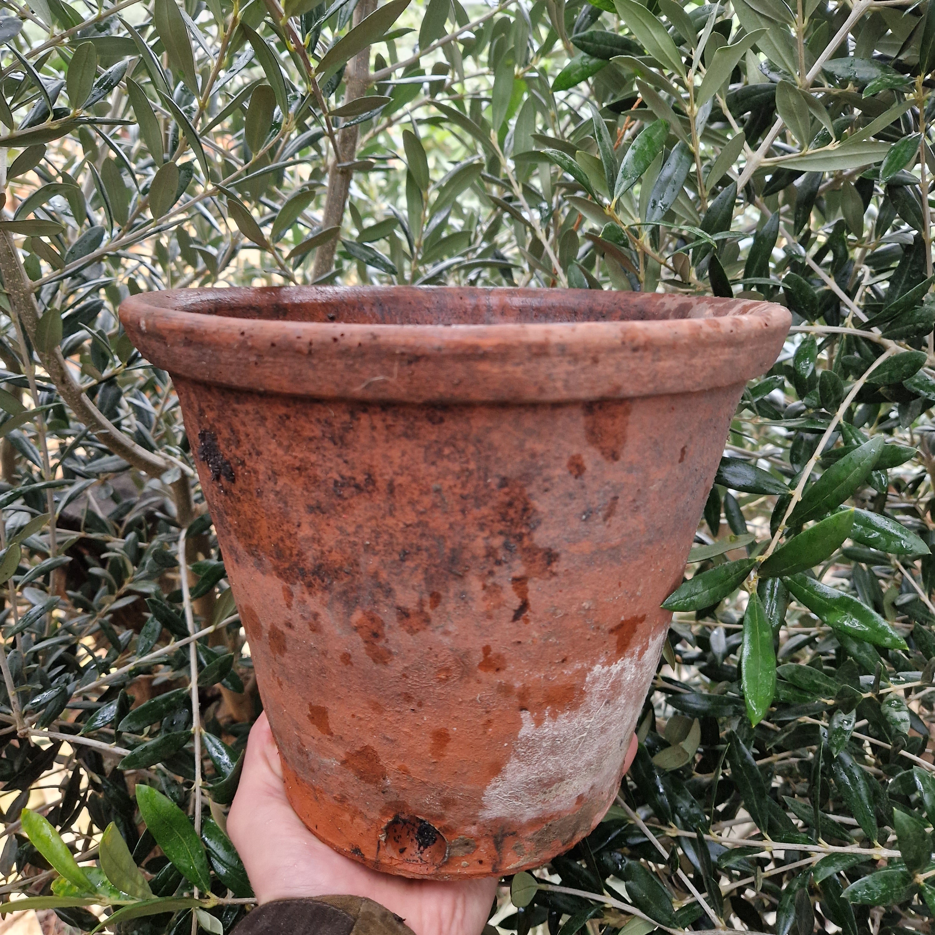 Old Nursery Pots - Tom's Yard