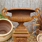 Pair of Shapely Cast Iron Urns - Tom's Yard