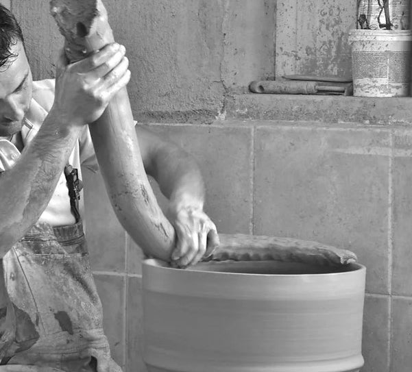 Fatsia Cretan Terracotta Pot - Tom's Yard