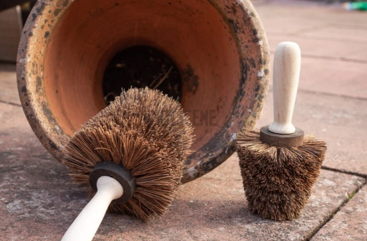 Pot Scrubbing Brush - Tom's Yard