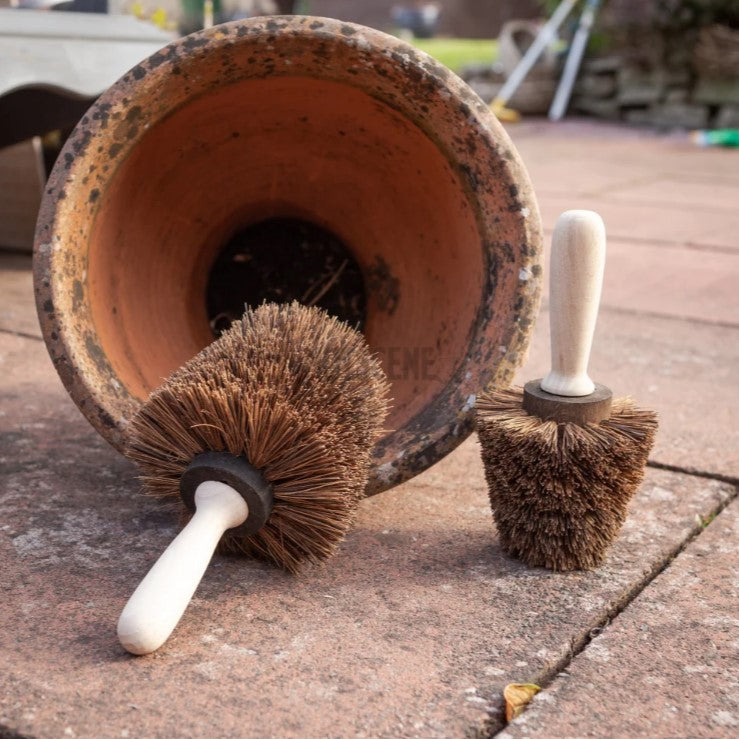 Pot Scrubbing Brush - Tom's Yard